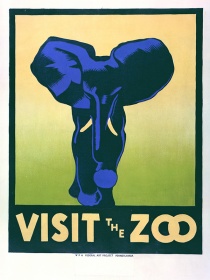 Zobacz obraz Plakat Visit the ZOO, słoń, V_PLA_016