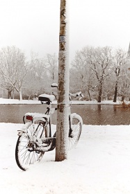 Zobacz obraz Rowery 030, TRA_BIK_030