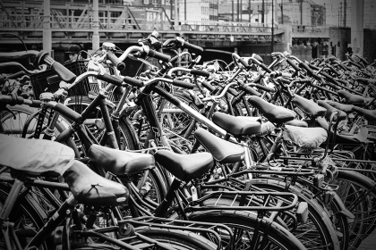 Zobacz obraz Rowery 037, TRA_BIK_037