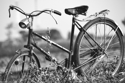 Zobacz obraz Rowery 052, TRA_BIK_052